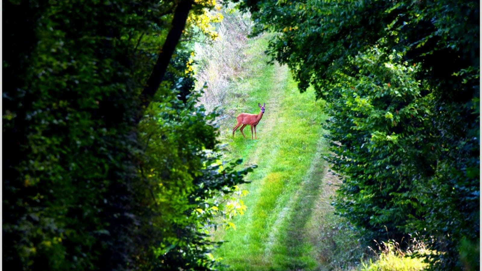 Le Moulin Blot à cheval
