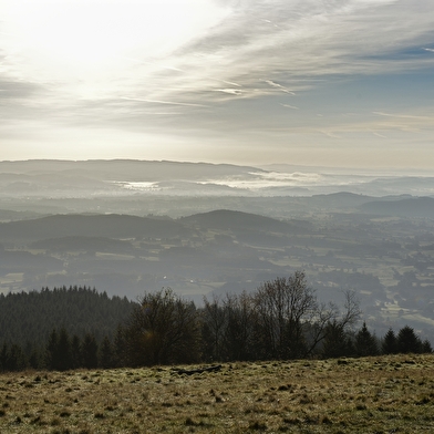 Parc naturel régional du Morvan