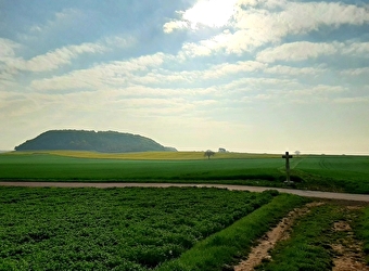 Chemin des écrivains : Romain Rolland - BREVES