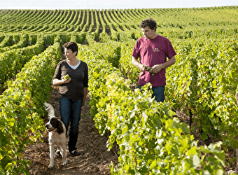 Domaine des Tayaux - SURY-EN-VAUX