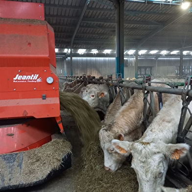 Secrets d’élevage : une immersion grandeur nature à la ferme