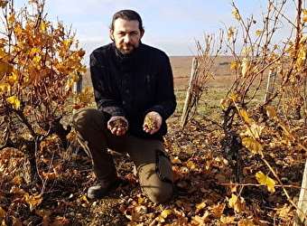 Les Chaumes - Bardin Jean-Jacques - POUILLY-SUR-LOIRE