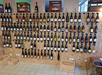 Cave à vins Quille.S - NEVERS