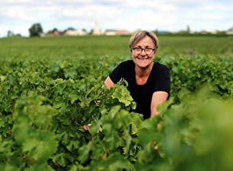 Domaine Serge Dagueneau et Filles - SAINT-ANDELAIN