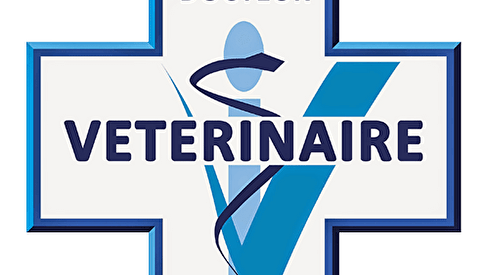 Cabinet vétérinaire de Château-Chinon