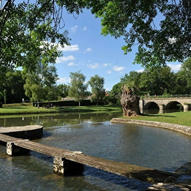 Le Barrage à aiguilles