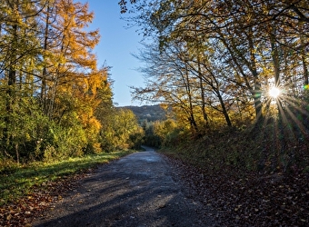 Au Cyclo DéChaîné - Location & vente de vélos électriques et itinéraires dans le Sud-Morvan - SEMELAY