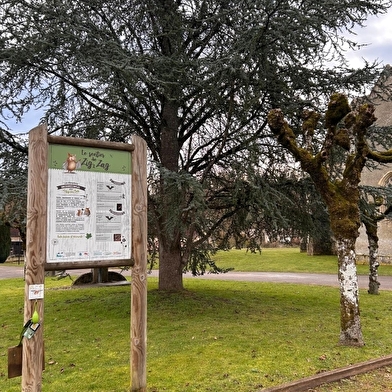 En forêt autour de Cessy-les-Bois