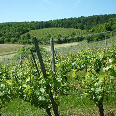 Domaine de Bel-Air