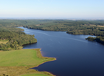 Balade en famille : Le sentier-nature du Domaine des Grands Prés - SAINT-AGNAN
