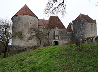Près du château fort de La Motte Josserand - PERROY