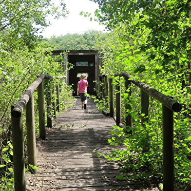Sentier nature : Le Martin Pêcheur